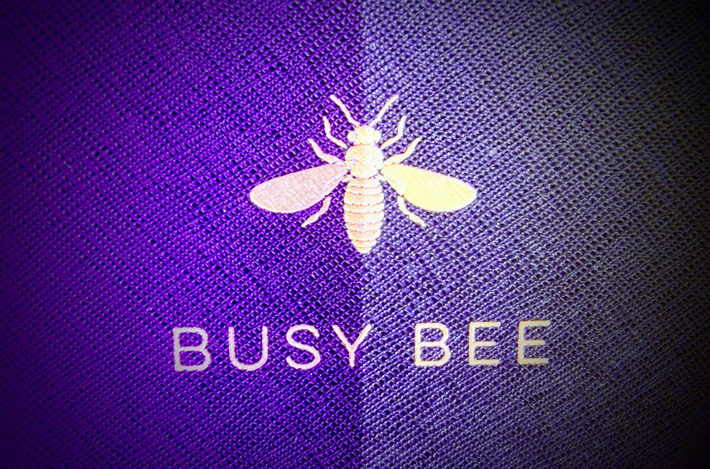 Busy Bee Coaching